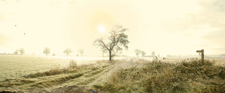 Early One Morning